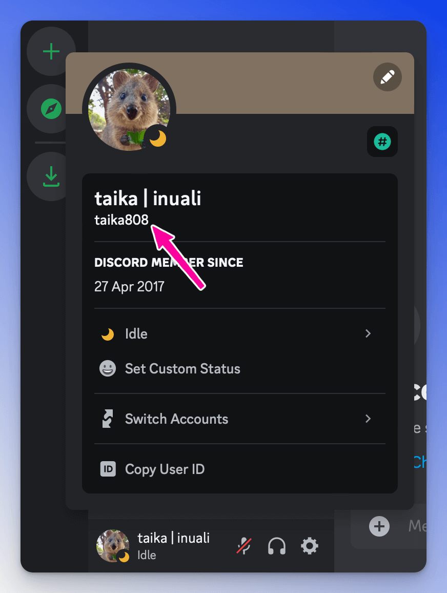 Discord screenshot showing username by clicking avatar.